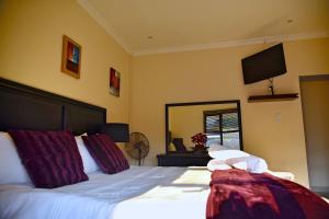 a bedroom with a large bed with a tv on the wall at Green Haven Apartments in Ezulwini