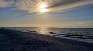 Gallery image of Casa Ybel Resort in Sanibel