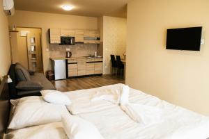 Kuchyň nebo kuchyňský kout v ubytování Jazmin apartmány