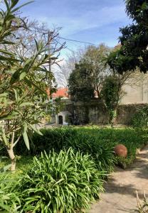 a garden with plants and a house in the background at Sintra Nomad Lodge in Sintra