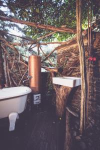 Fotografie z fotogalerie ubytování Moselglamping v destinaci Traben-Trarbach