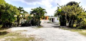 una entrada que conduce a una casa con palmeras en Les gîtes des 500 pas, en Sainte-Anne