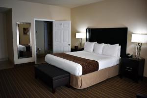 a hotel room with a large bed and a mirror at Grand Legacy At The Park in Anaheim