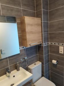 ein Badezimmer mit Toilette, Waschbecken und Spiegel in der Unterkunft Studio Les Jardins de la Mer in Bandol