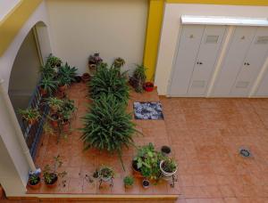 Imagen de la galería de Duplex, terraza, 10 min coche centro Sevilla, en Camas 32 fotos más