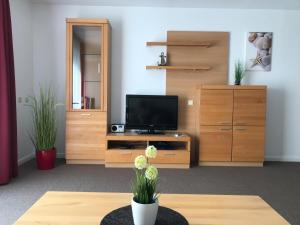 a living room with a television and a wooden entertainment center at Steiner Strandappartements Appartement 206 Süd- Landseite in Stein