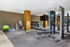 a fitness room with a gym with a green ball at Hotel Indigo Rochester - Mayo Clinic Area in Rochester