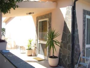 チビタベッキアにあるOasi Del Relaxの鉢植えの家