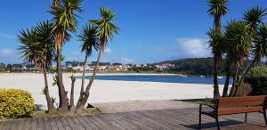 ポルトノボにある2 I Playa Baltarの椰子の木が茂る浜辺のベンチ