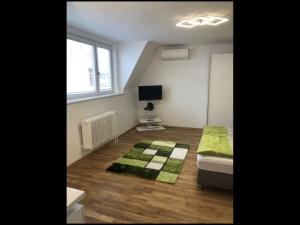 1 dormitorio con 1 cama y TV en Walzhofer Apartement en Viena