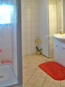 a bathroom with a shower and a sink at Ferienwohnung Welle in Freest