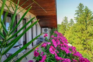 Gallery image of Villa Alice in Suceava