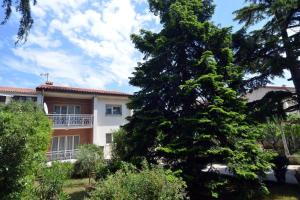 uma grande árvore em frente a uma casa em Apartment Rojnic - 3 bedrooms apartment em Pula