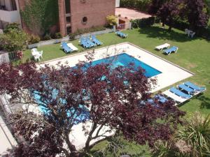 Bazén v ubytování Hotel Ancora nebo v jeho okolí