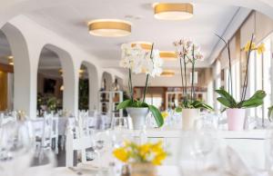 Restaurace v ubytování Hotel Ancora + 37 fotografií