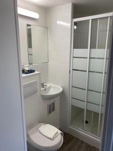 a bathroom with a toilet and a sink and a shower at Fast Hotel Brie-Comte-Robert in Brie-Comte-Robert