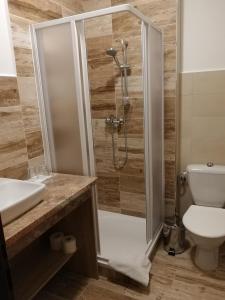 ein Bad mit einer Dusche, einem WC und einem Waschbecken in der Unterkunft Rodinný hotel Myslivna in Třeboň