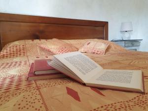 un libro abierto sentado en la parte superior de una cama en Chambre d'hôtes de la Bigottière en Madré