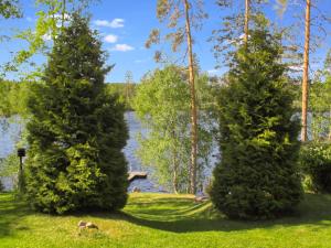 un groupe d'arbres dans l'herbe près d'un lac dans l'établissement Holiday Home Rinne-expertti by Interhome, à Torsansalo