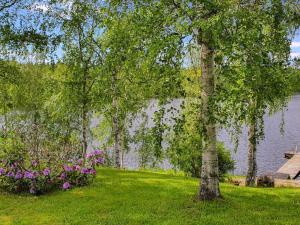 un arbre dans l'herbe à côté d'une masse d'eau dans l'établissement Holiday Home Rinne-expertti by Interhome, à Torsansalo