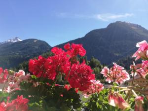 Příroda nedaleko apartmánu + 4 fotografie