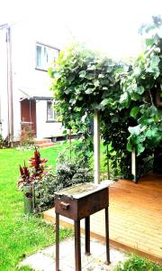 a wooden table with a plant on top of it at JURMALA ,экологический дом,2 этаж с отдельным входом in Jūrmala