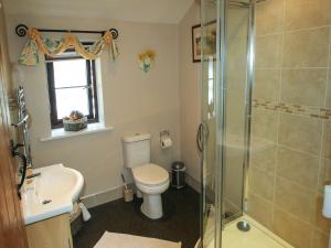 y baño con ducha, aseo y lavamanos. en Cwm Derw Cottage en Llanafan-fawr