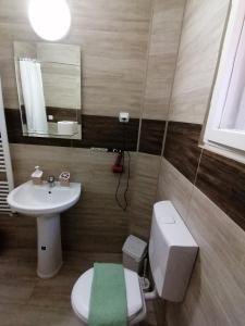 Kupatilo u objektu Haus Apartman Zaječar M&L