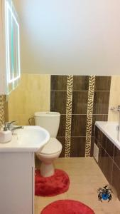 a bathroom with a toilet and a sink at Villa Cheval in Auk&scaron;tadvaris