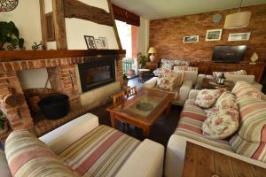Una sala de estar con sofás y chimenea. en Hotel El Jisu, en Camaleño