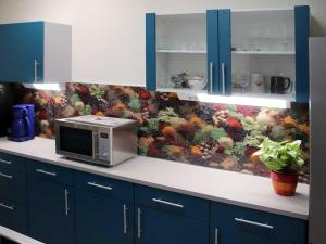 a kitchen with a counter with a microwave on it at Ferienwohnung Bernhardt in Zella-Mehlis