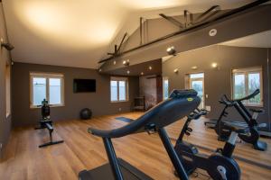Fitness centrum a/nebo fitness zařízení v ubytování L'Orée du Bois