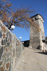 Foto dalla galleria di Teo Guesthouse and Camping in Mestia a Mestia