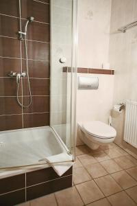 a bathroom with a shower and a toilet at Hotel-Restaurant Alter Krug Kallinchen in Kallinchen +47 photos