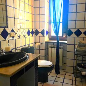 a bathroom with a toilet and a sink at I Poggetti in Castel Giorgio