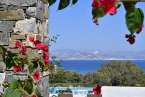 Gallery image of Blue Amaryllis Villas in Santa Maria