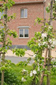 Zahrada ubytování B&B De Fruithoeve