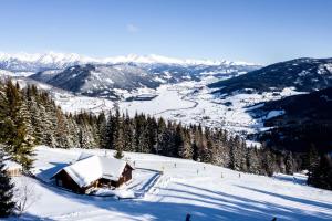 domek na pokrytej śniegiem górze z drzewami w obiekcie Wurzelhütte w mieście Sankt Margarethen im Lungau