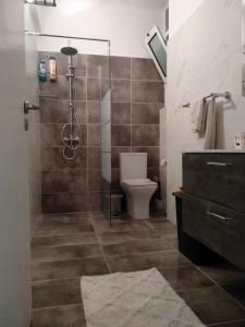 ein Bad mit einer Dusche, einem WC und einem Waschbecken in der Unterkunft Charilaou Trikoupi Flat in Athen