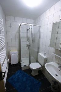 a bathroom with a shower and a toilet and a sink at Wohnung Martin - Moderne Zweizimmerferienwohnung mit großer Süd- Westterrasse in Altenau in Altenau