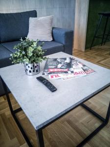 stolik kawowy z pilotem i czasopismo w obiekcie Raw Industrial City Apartment w mieście Subotica