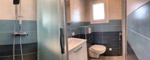 a small bathroom with a toilet and a shower at Hotel Les Palmiers En Camargue in Saintes-Maries-de-la-Mer