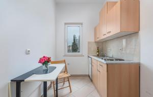 Kuchyň nebo kuchyňský kout v ubytování Apart Residence Leko