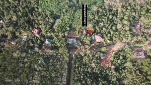 Gambar di galeri bagi Wayanad Days di Mananthavady
