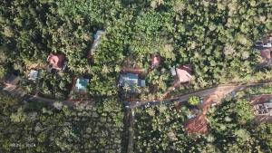 Gambar di galeri bagi Wayanad Days di Mananthavady