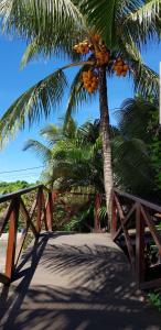 uma árvore com um monte de fruta numa ponte em Pousada Capim Açu em Fernando de Noronha