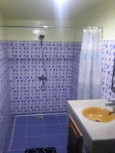 Ένα μπάνιο στο Mhamid Auberge Saharaespace