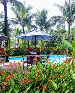 A piscina localizada em Pousada Toca da Praia ou nos arredores