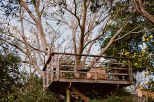 Fotografie z fotogalerie ubytování Emily Moon River Lodge v destinaci Plettenberg Bay