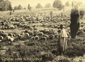 Gallery image of Hotel Schäferhof in Schneverdingen